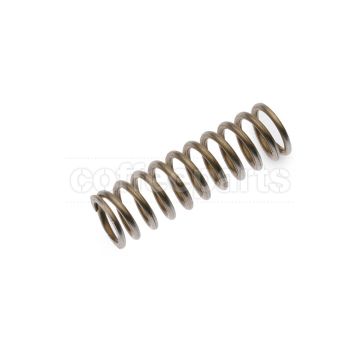 Steam valve spring