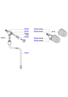 Steam and hot water valves