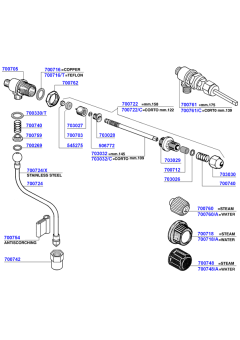 Leone - Steam and hot water valves