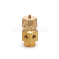 Boiler Safety Valve with M19 Thread