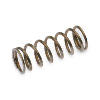 Steam valve swivel ball spring
