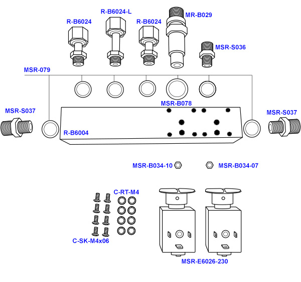 Kees Spirit T Manifold